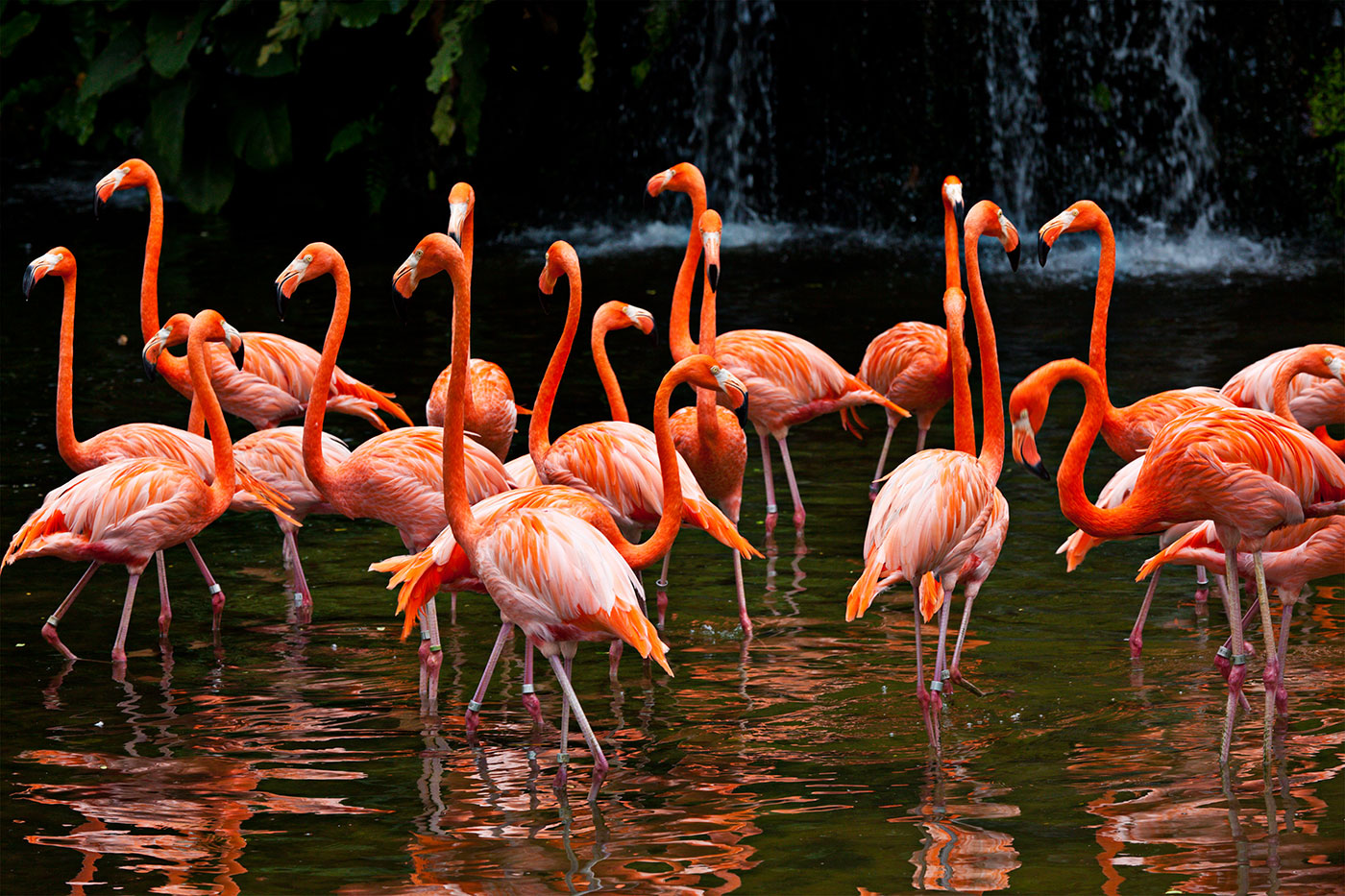 A Feast Of Colors
